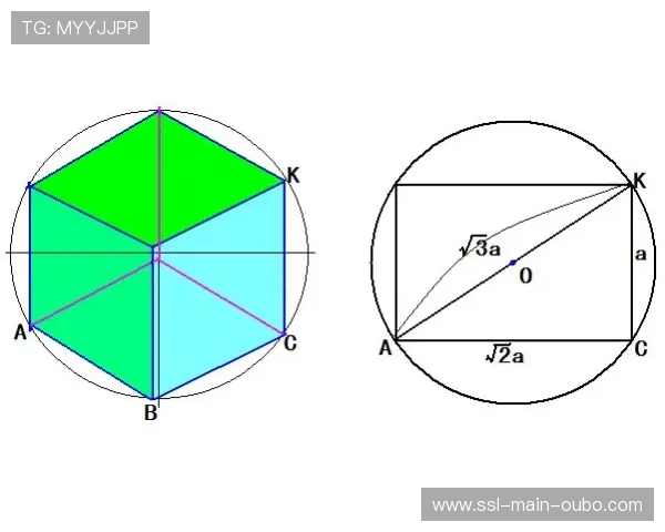 南特定位球蜂群防守阵型，禁区弧顶封堵效率提高29%